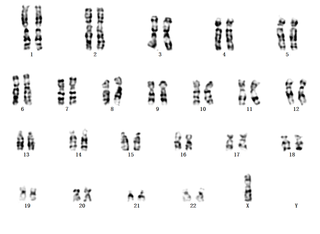 5c597dd2eb594a58afb21d5d4e807577.png