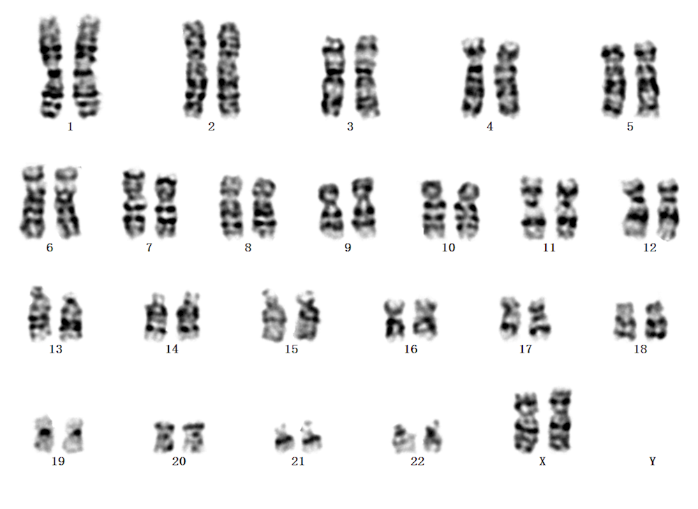 fa14db845ca640b1bfa06c560c5859a7.png