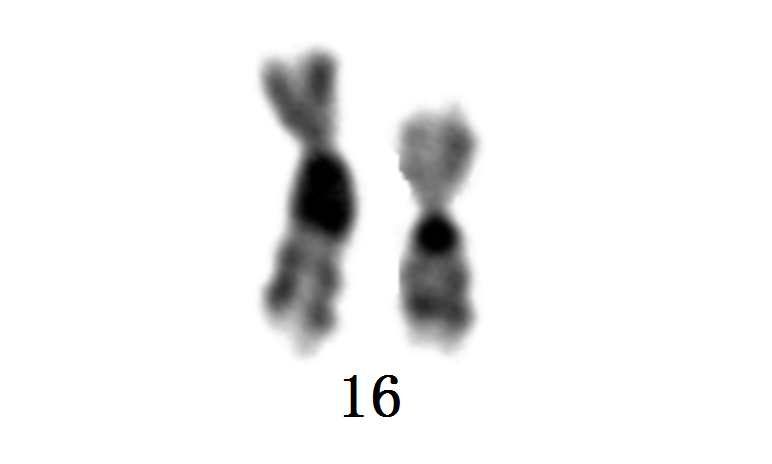 fc42c2c4c9654ac7a6f5683719607ae6.png