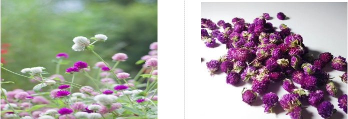 bd08827c90ea40c198a3f495ab6f7b92.png