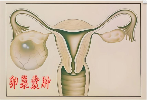 6521b6d64c2a49f78107b7505aca436f.png