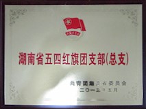 2013年共青團湖南省委員會授牌