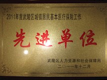 2011年武陵區(qū)人力資源和社會保障局授牌