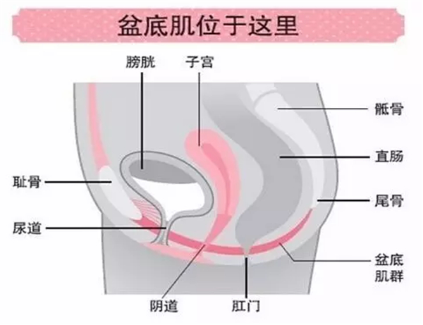 圖一3.jpg