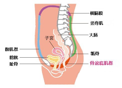 圖片1.png