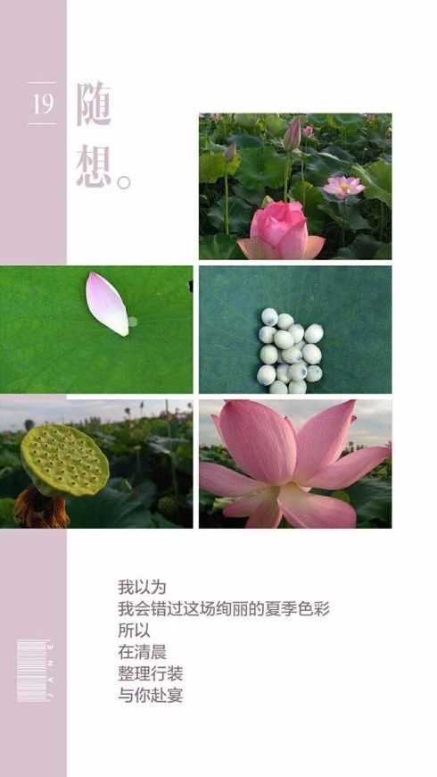 微信圖片_20180530120248.jpg