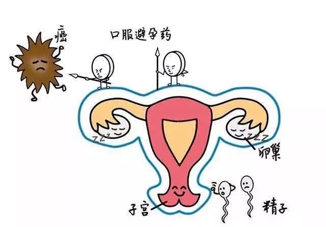 微信圖片_20180817102116.jpg