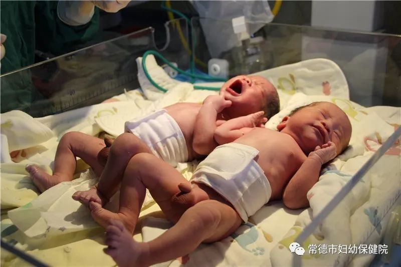 微信圖片_20181126171117.jpg