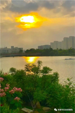 微信圖片_20190515112924.jpg
