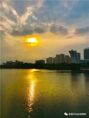 微信圖片_20190515113045.jpg
