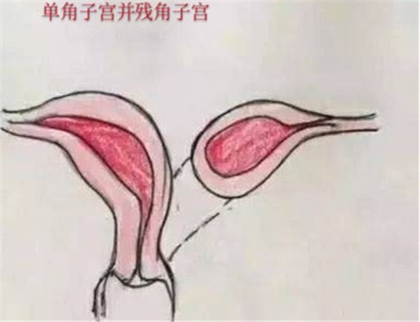 微信圖片_20200324165613.jpg